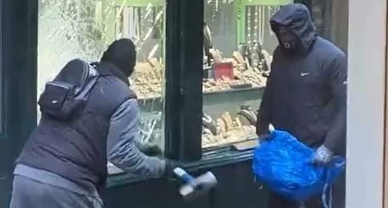 Moment hammer-wielding thugs break into family-run jewellers