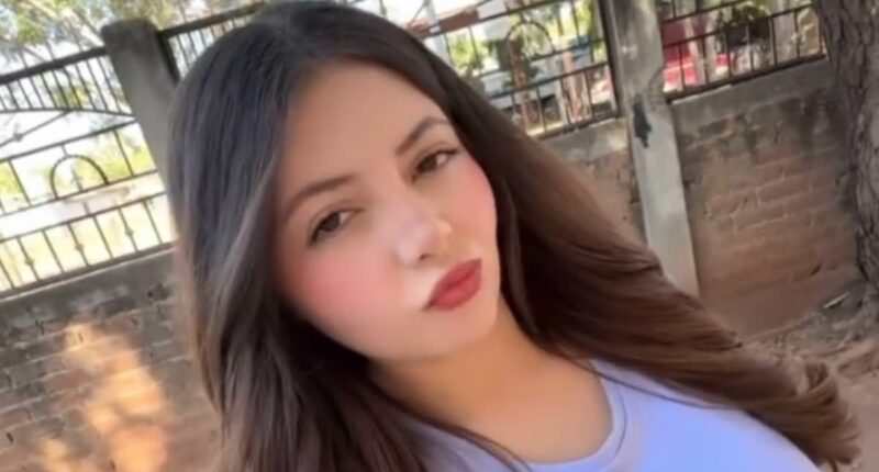 Moment internet star, 20, is abducted from her lilac Tesla Cybertruck