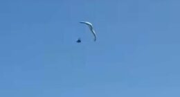 Moment paraglider plunges into ocean from 500ft in the air