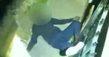 Moment police officer Tasers suspected burglar now in a wheelchair