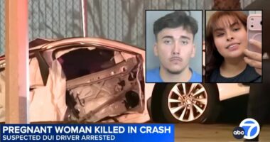 'Mommy isn't coming back': Expectant mom heading home from In-N-Out after satisfying pregnancy craving is killed by drunk Lexus driver, leaving behind 4-year-old son, cops say