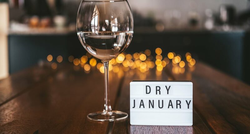 Month by month, exactly what a year of sobriety does to the body, revealed by experts - as one in four of us plan to quit booze for Dry January