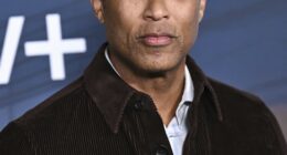 More Details on Lemon Arrest As Bondi Confirms - Three Others Arrested As Well