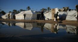 More countries confirm invites to Trump's Board of Peace for Gaza. $1 billion buys a permanent seat