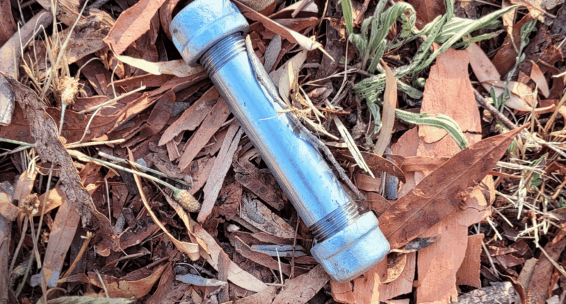 It is not known if any have been seen in other parts of Canberra.