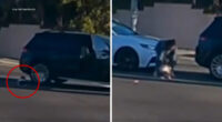 Mother arrested after video shows toddler fall out of moving SUV in Fullerton, California