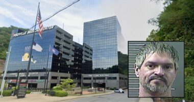 Mother who just gave birth has car stolen from hospital by baby's father angry after being booted from room due to visitation policy: Police