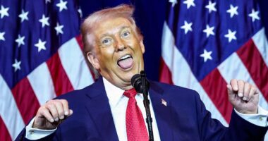 'My wife hates when I do this': Trump sends Republicans wild as he unleashes moves Melania can't stand