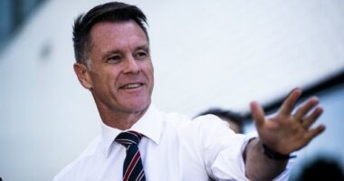 NSW Premier Chris Minns insisted he would only move ahead with the proposal of an extra Anzac Day public holiday with the blessing of the RSL.