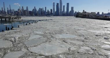 NYC suspends ferries as Hudson and East River begin to FREEZE OVER