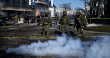 Narratives clash after Trump and victim's family react to second Minneapolis shooting