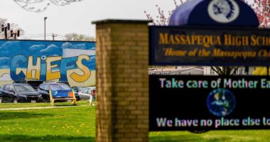 Native American group vows Supreme Court fight over woke New York mascot ban