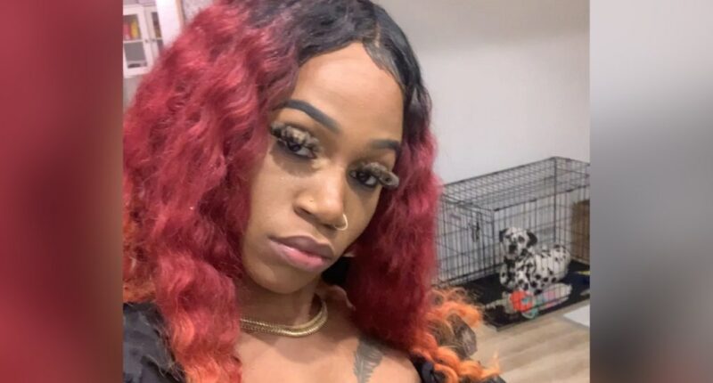 Neighbor who knifed Bronx mom to death in dog dispute arraigned in hospital on murder charges