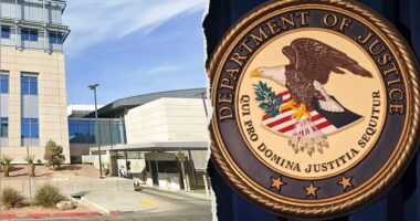 Nevada judge frees convicted MS-13 killer despite government warnings about public safety