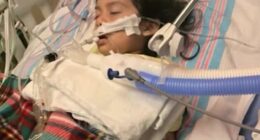 Pictured above is Sarah Lopez, 2, who was hospitalized and had to be placed on a feeding tube and ventilator after she caught the flu