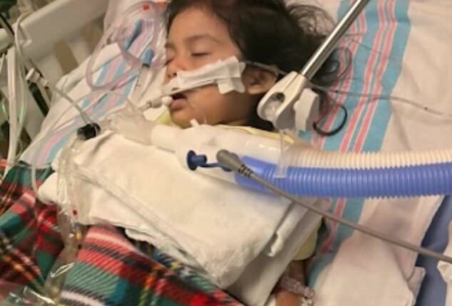 Pictured above is Sarah Lopez, 2, who was hospitalized and had to be placed on a feeding tube and ventilator after she caught the flu