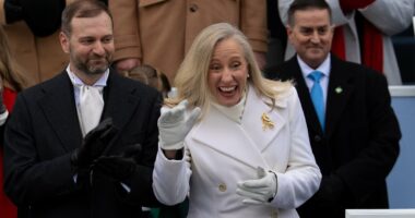 New Democrat governor likened to a 'Bond villain' over woke policies