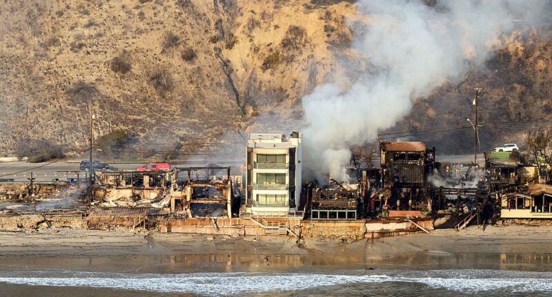 Celebrity Net Worth logo