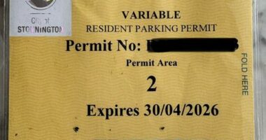 Olivia Stiles' paper permit used to allow her to park outside her home for free.