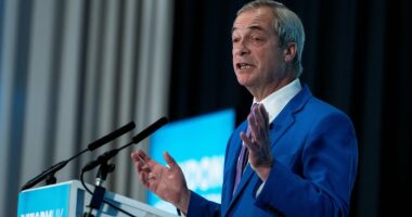 Nigel Farage says he would vote AGAINST deploying UK troops in Ukraine