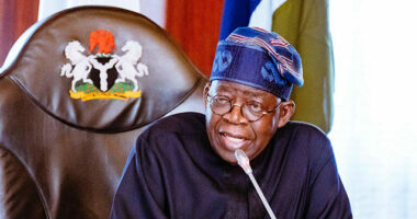 Nigerian President Celebrates Trump Strikes on Terrorists in New Year Address