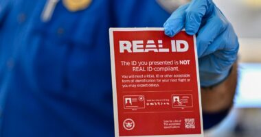 No REAL ID? TSA Will Soon Charge $45 For Alternative ID Verification