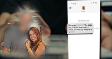 'No one verified the evidence': Woman says AI-generated deepfake text sent her to jail | Action News Investigation