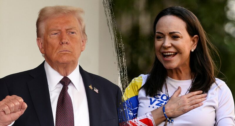 Nobel Institute shuts down talk of Venezuelan leader sharing Peace Prize with Trump