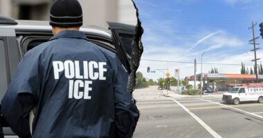 Off-duty ICE agent takes down armed man firing rifle at LA apartment complex