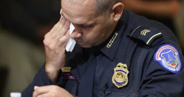 Officers who defended the Capitol on Jan. 6 say their struggles linger, 5 years after the riot