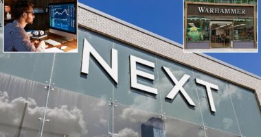 One Next share costs £140 but I don't want to invest that much: What are my options?