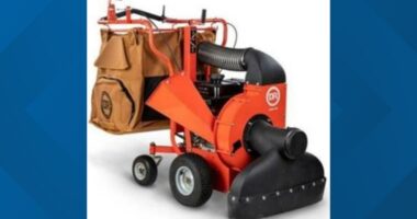 Over 60,000 DR Power leaf vacuums recalled for laceration hazard