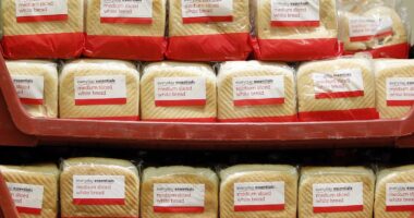 Over 70 per cent of Britons unable to identify ingredients in the supermarket bread they buy and eat daily