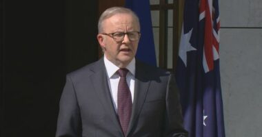 Pï»¿rime Minister Anthony Albanese has buckled after weeks of intense pressure and opened a Commonwealth royal commission into the Bondi Beach terrorist attack.