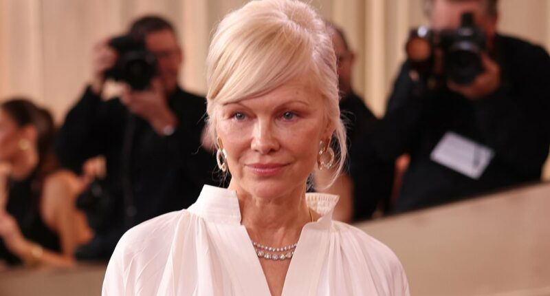 Pamela Anderson BLASTS Seth Rogen after awkward Golden Globes run-in