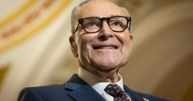 Partial government shutdown triggered as furious Democrats hold out