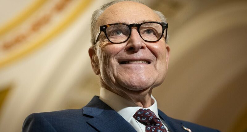 Partial government shutdown triggered as furious Democrats hold out