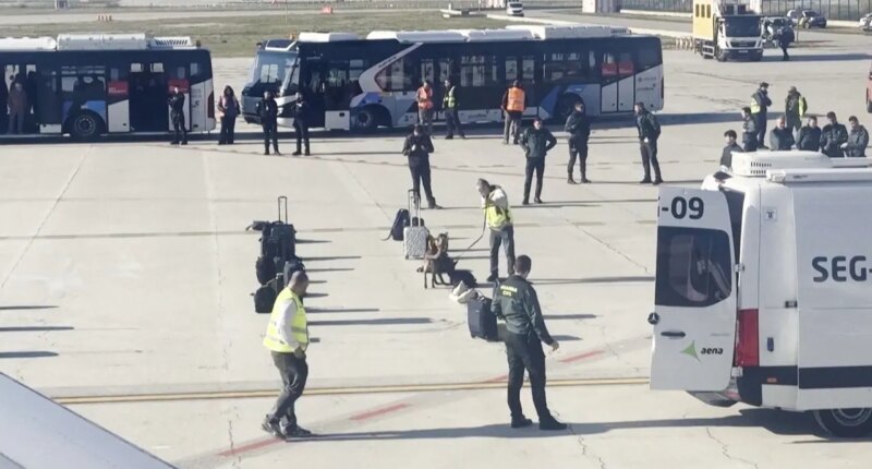 Passenger’s Wi-Fi name triggers bomb scare, forces Turkish Airlines emergency landing