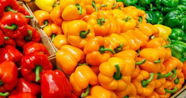 Peppers will help protect you from the 'super flu'... but which color you eat matters
