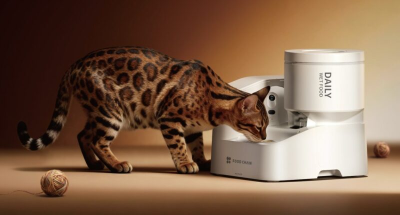 Petkit’s automatic wet food feeder tracks how much your pet eats