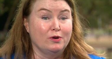 Agriculture Minister Tara Moriarty said: "There's been over 7000 submissions over the last couple of years about what we can do to strengthen animal welfare laws.