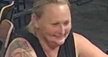 Police declare 'major crime' after suspicious disappearance of mother