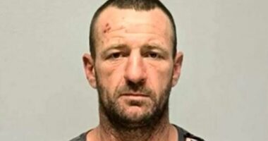 Police release new images of ute in search for alleged triple killer