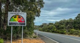 Police slam 'reckless' thieves for cutting down fire danger warning sign