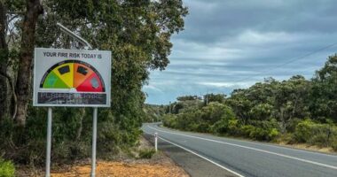 Police slam 'reckless' thieves for cutting down fire danger warning sign