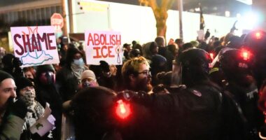 Portland agitators clash with police after 2 shot by federal immigration agent