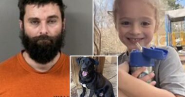 Possible cause of death revealed for missing Florida boy Johnathan Boley, 4, who was found dead in Alabama woods