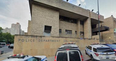 Precinct poacher walks into the 23, strolls out wearing NYPD uniform and carrying cuffs