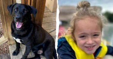 Preliminary autopsy reveals possible cause of death for missing 4-year-old Alabama boy Johnathan Boley