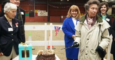 Princess Anne jokes cake-cutting ceremony is 'legalised vandalism'